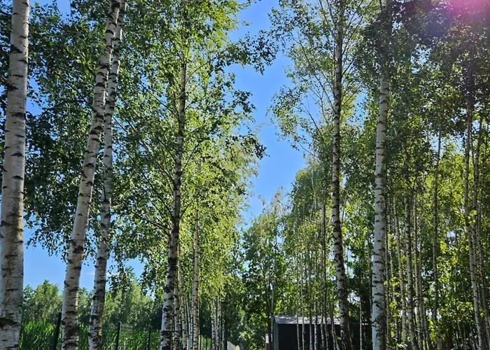 Przystanek Mazury.makosieje Ferienhaus *