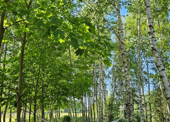Przystanek Mazury.makosieje *